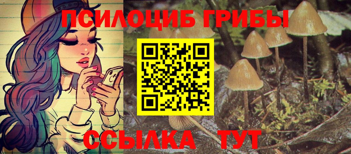 Каменск-Уральский  Псилоцибиновые грибы прущие грибы  Вход с VPN 