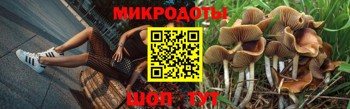 Галлюциногенные грибы прущие грибы Каменск-Уральский